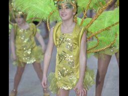 Carnaval de Mula 2013